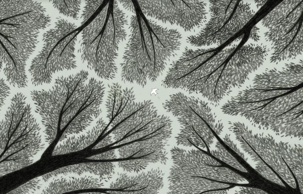 Pei-Hsin CHO, "Crown Shyness"